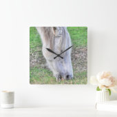 Wild Grazing New Forest Pony Hampshire, Engeland Vierkante Klok (Huis)