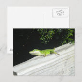 Wild Green Gecko Briefkaart (Voorkant / Achterkant)