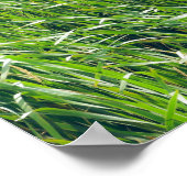 Wild Green Grass Natuur Poster (Hoek)