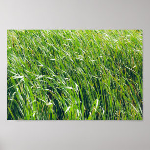 Wild Green Grass Natuur Poster