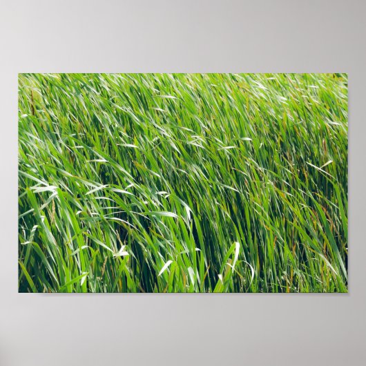 Wild Green Grass Natuur Poster (Voorkant)
