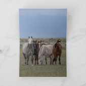 Wild Grey hengst beschermt zijn merries Kaart (Binnen)