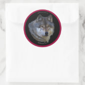 WILD GREY WOLF Wildlife Stickers (Tas)