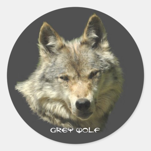 WILD GREY WOLF Wildlife Stickers (Voorkant)