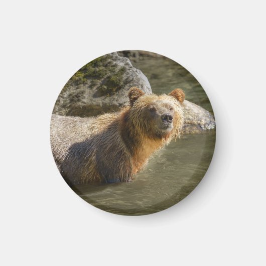 Wild Grizzly Beer in de Orford Magneet (Voorkant)