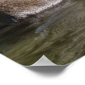 Wild Grizzly Beer in de Orford Poster (Hoek)