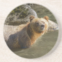 Wild Grizzly Beer in de Orford