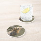 Wild Grizzly Beer in de Orford Zandsteen Onderzetter (Zijkant)