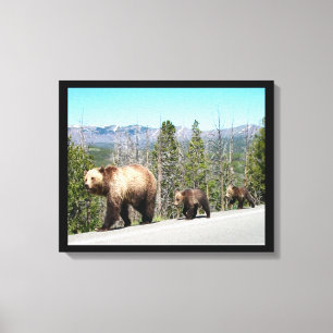 Wild Grizzly Beer Mama en Cubs in Yellowstone Canvas Afdruk
