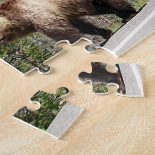 Wild Grizzly Beer Mama en Cubs in Yellowstone Legpuzzel