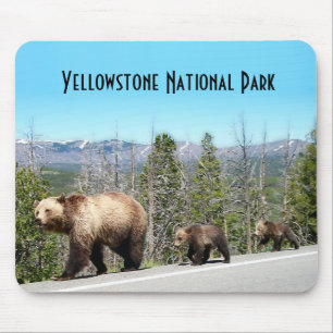 Wild Grizzly Beer Mama en Cubs in Yellowstone Muismat