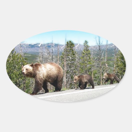 Wild Grizzly Beer Mama en Cubs in Yellowstone Ovale Sticker (Voorkant)