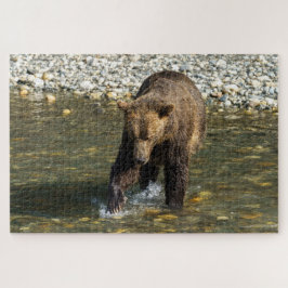 Wild Grizzly probeert zalm te vangen in de Toba Legpuzzel