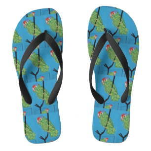 wild groene papegaaien blauw teenslippers