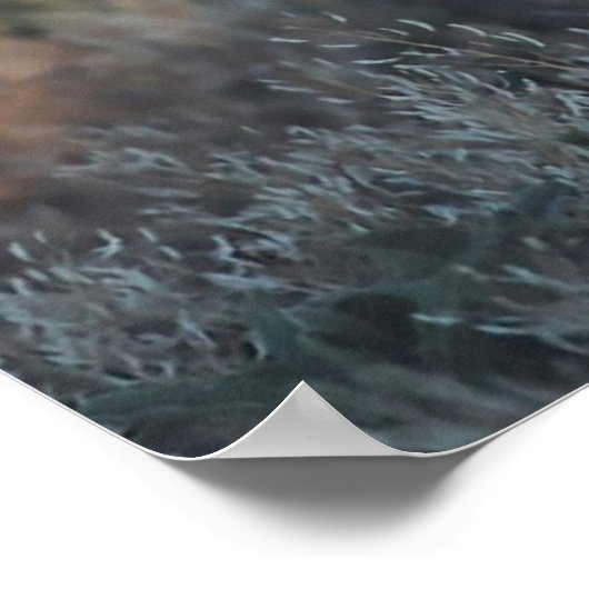 Wild Grouse Poster (Hoek)