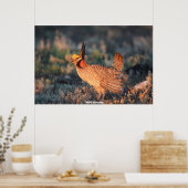 Wild Grouse Poster (Keuken)