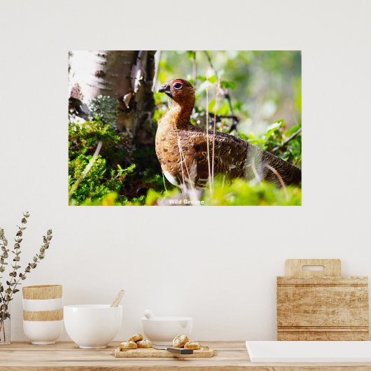 Wild Grouse Poster (Keuken)