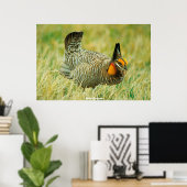 Wild Grouse Poster (Thuiskantoor)