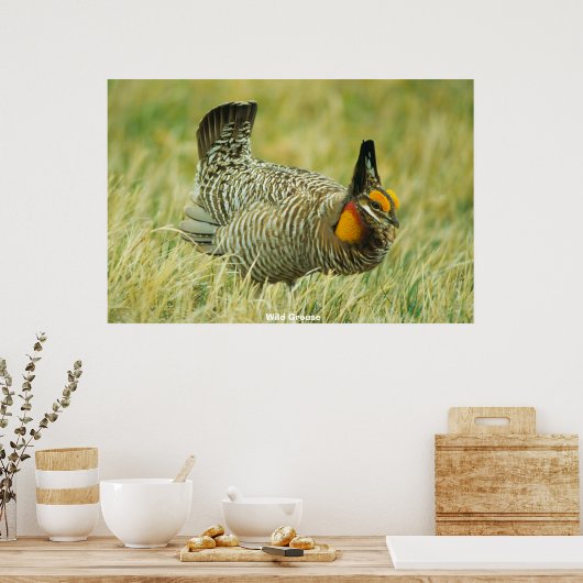 Wild Grouse Poster (Keuken)