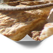 Wild Hagedis Natuur Fotografie Rustiek Poster (Hoek)