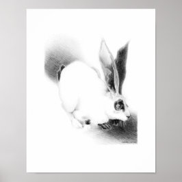Wild Hare Kaart Poster