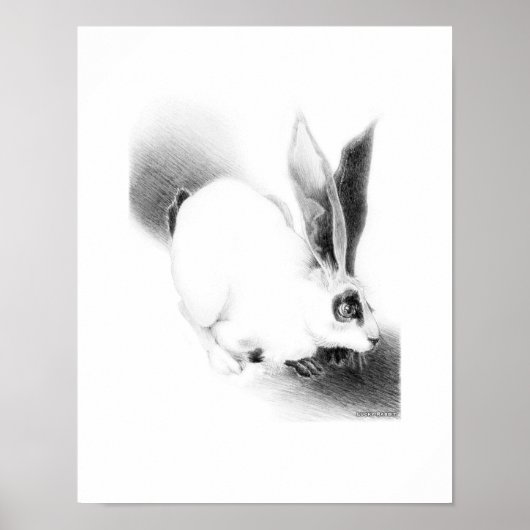 Wild Hare Kaart Poster (Voorkant)