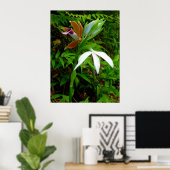 Wild Hawaiian Orchids Poster (Thuiskantoor)