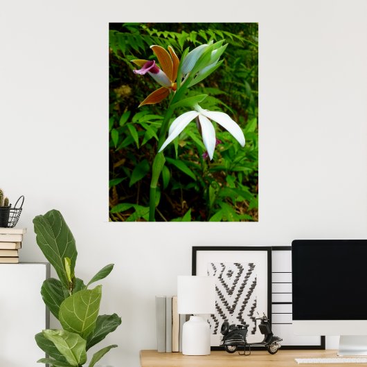 Wild Hawaiian Orchids Poster (Thuiskantoor)