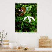 Wild Hawaiian Orchids Poster (Keuken)
