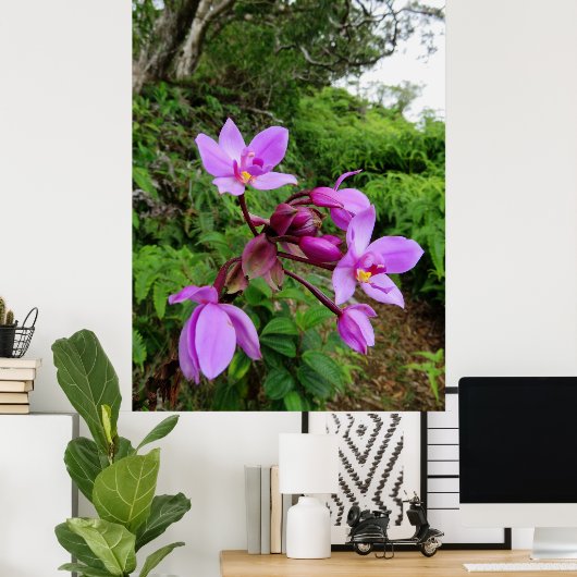 Wild Hawaiian Orchids Poster (Thuiskantoor)