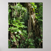 Wild Hawaiian Philodendrons Poster (Voorkant)