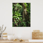 Wild Hawaiian Philodendrons Poster (Keuken)