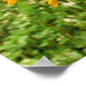 Wild Heart, Zonnebloemen, Prints (Hoek)