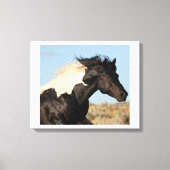 Wild hengst canvas Print (Voorkant)