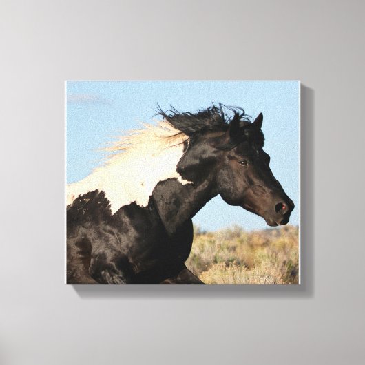 Wild hengst canvas Print (Voorkant)