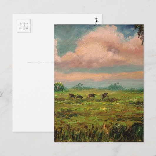 Wild Hog Hunting in Florida Briefkaart (Voorkant / Achterkant)