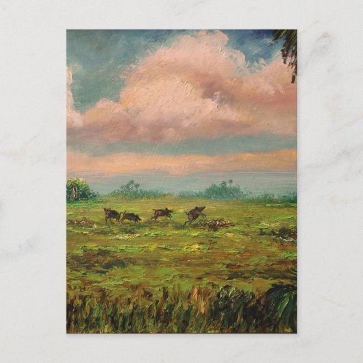 Wild Hog Hunting in Florida Briefkaart (Voorkant)