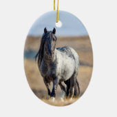 Wild Hoofbeats Blue Zeus Walks Ornament (Achterkant)