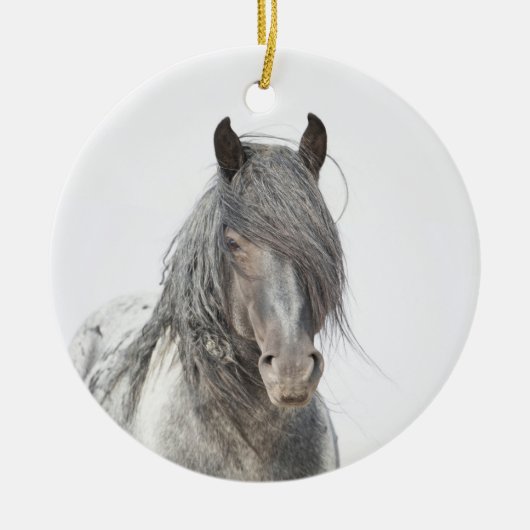 Wild Hoofbeats Ornament - Blue Zeus Portrait (Voorkant)