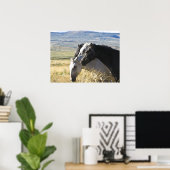 Wild Horse Black en White band print poster (Thuiskantoor)