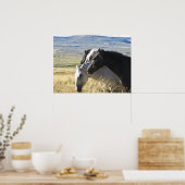 Wild Horse Black en White band print poster (Keuken)