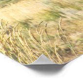 Wild Horse Black en White band print poster (Hoek)