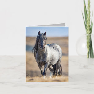 Wild Horse Blue Zeus Comes Close Wenskaart Kaart