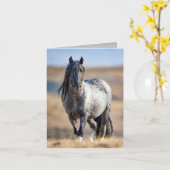 Wild Horse Blue Zeus komt dicht bij Wenskaart Kaart (Gele Bloem)
