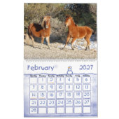 Wild Horse Calendar, Assateague Island Kalender (Feb 2027)