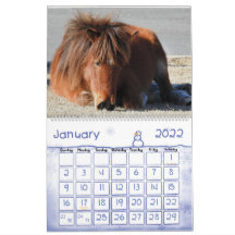 Wild Horse Calendar, Assateague Island