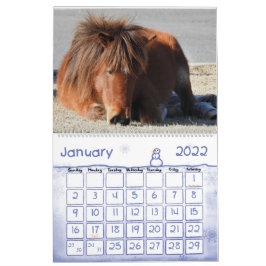 Wild Horse Calendar, Assateague Island Kalender