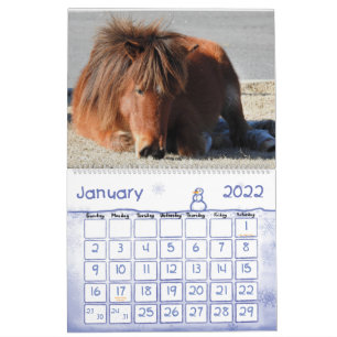 Wild Horse Calendar, Assateague Island Kalender