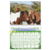 Wild Horse Calendar, Assateague Island Kalender (Mar 2026)