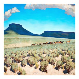 "Wild Horse Country" door Maynard Dixon Foto Afdruk